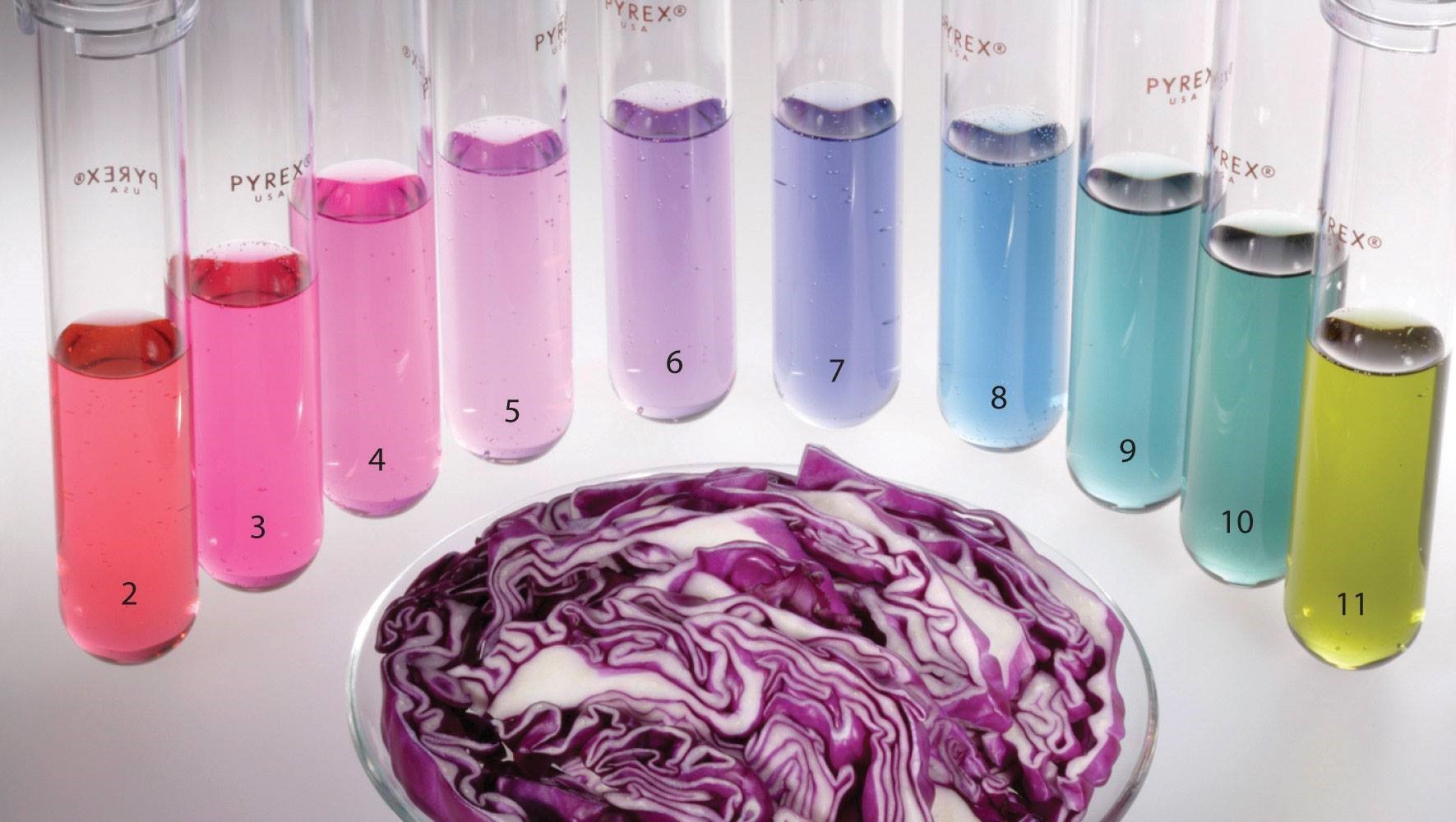 Indicador ácido-base de repolho roxo – Química em Prática